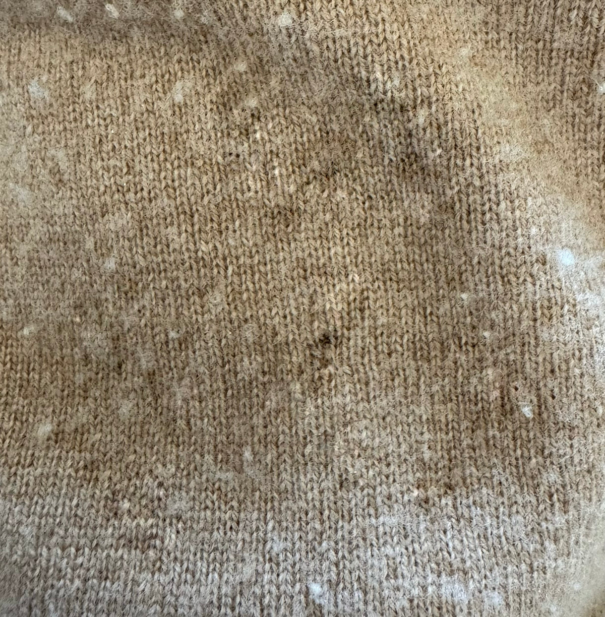 Pull beige Polo Ralph Lauren - S homme / M femme