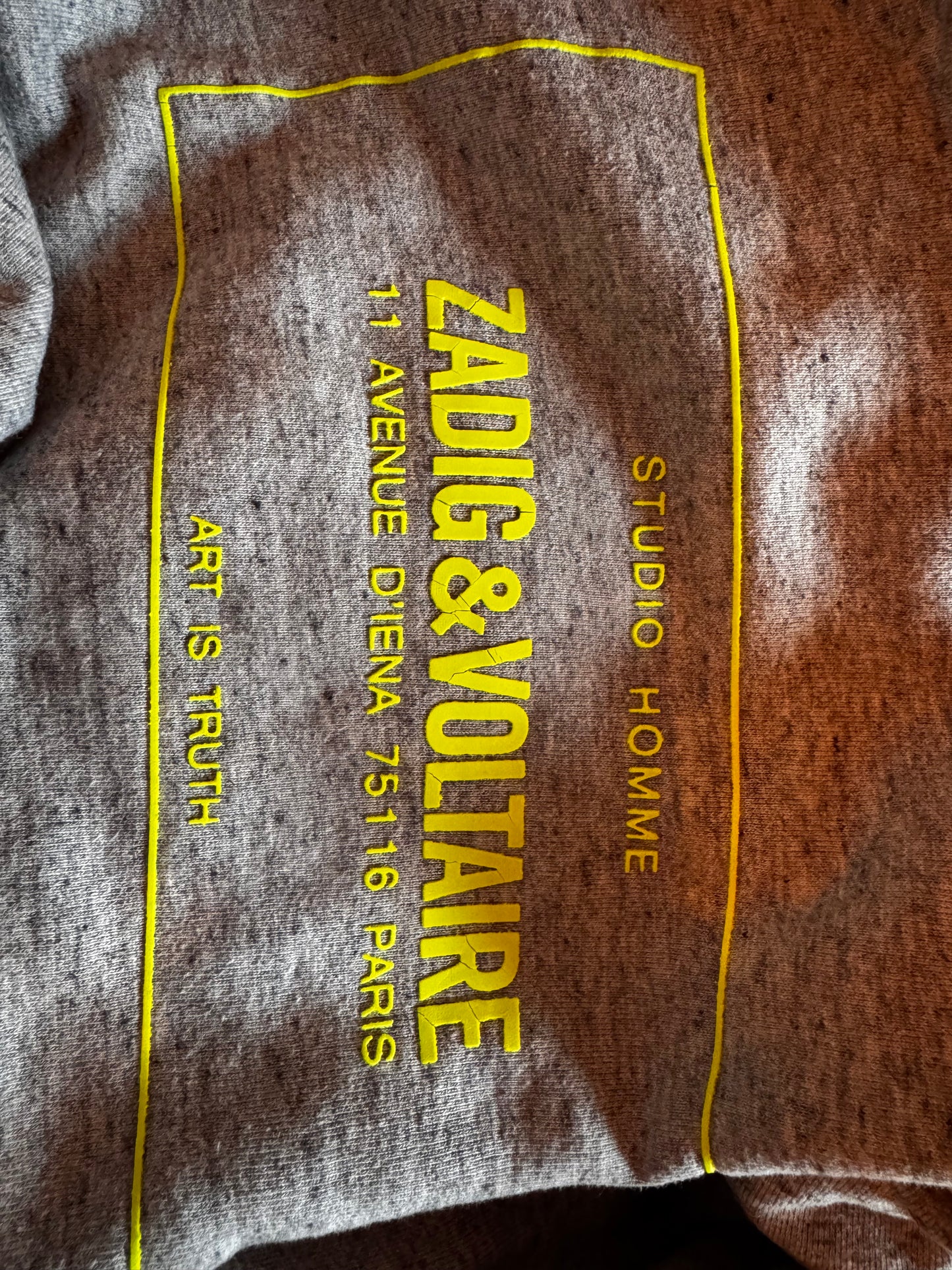 Sweat à capuche gris Zadig & Voltaire - S